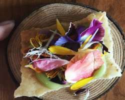 The garden also has restaurants where food is prepared using fresh produce of the garden.
